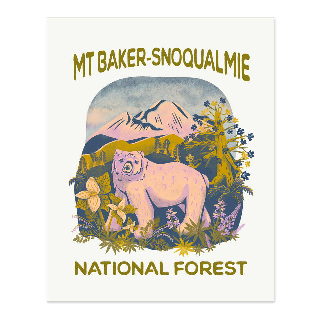 Mount Baker-Snoqualmie National Forest Afdruk - 8x10″